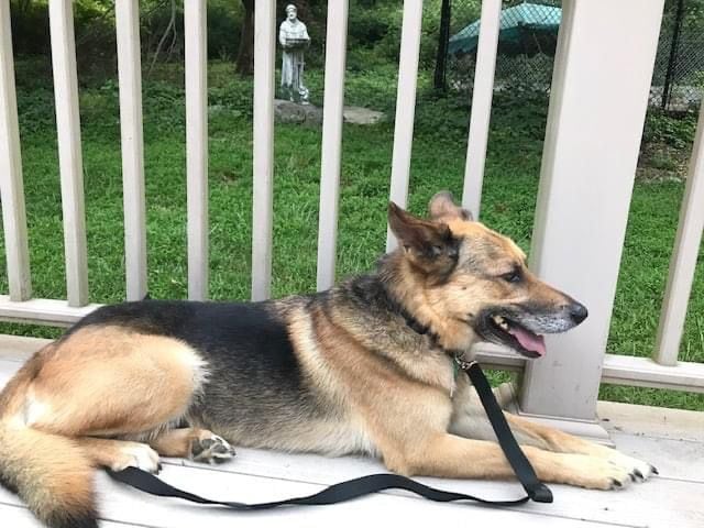 Ted's Great Adventure': How South Jersey neighbors rallied ...