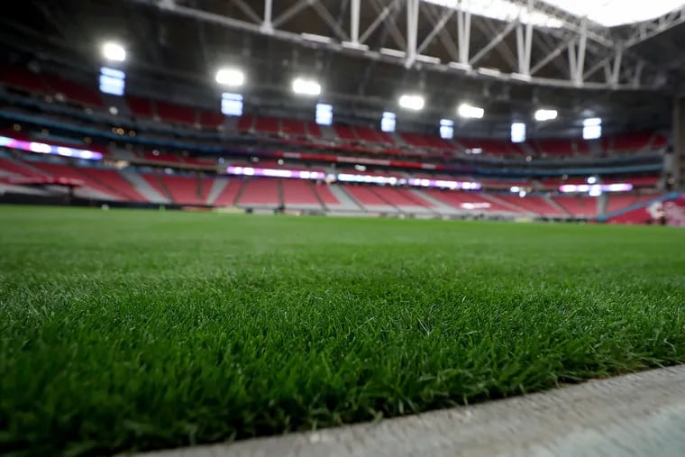 The grass playing surface on display during field preview event of the Super Bowl site between the Eagles and Chiefs at State Farm Stadium in Glendale, Ariz.