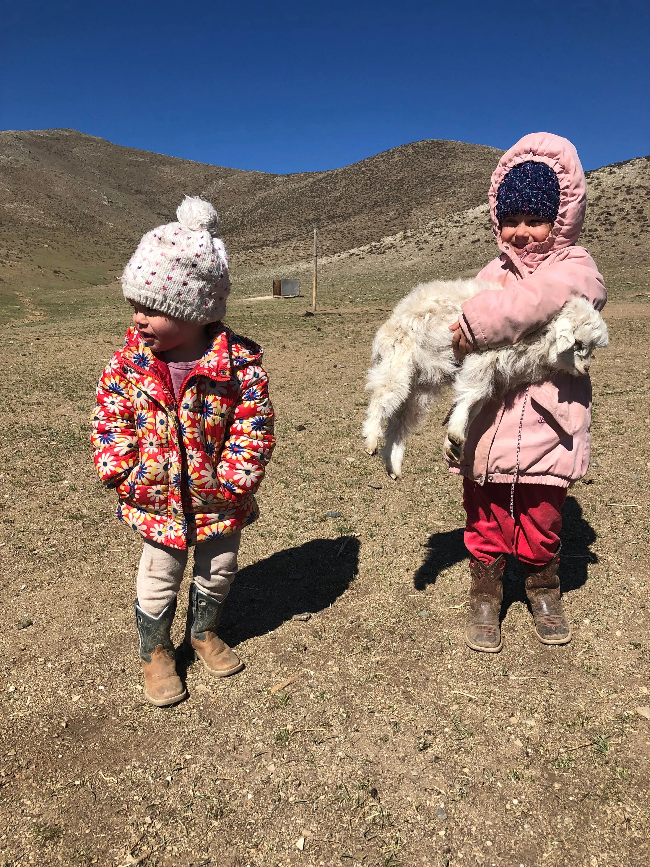 On the Mongolian steppe: No phone, no pool, no pets (., don't get  attached to the animals)