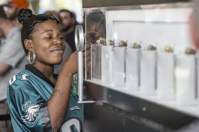 An Eagles fan uses he camera to take a photo of one of the Super Bowl Rings that were on display on the parkway last year during the opening day of the NFL Draft. Every Superbowl ring that has been given out to the winning team is on display in a circular case.
