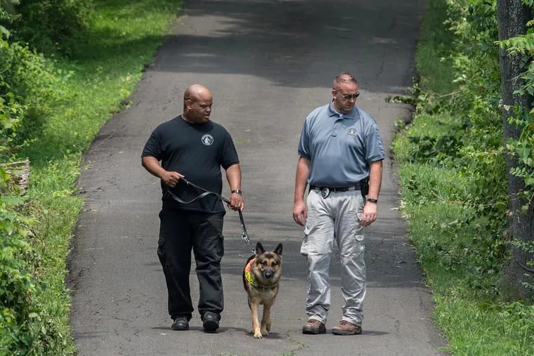 A Philadelphia police K-9 cadaver dog is taken for a walk down the driveway of the DiNardo family farm in Solebury Township.