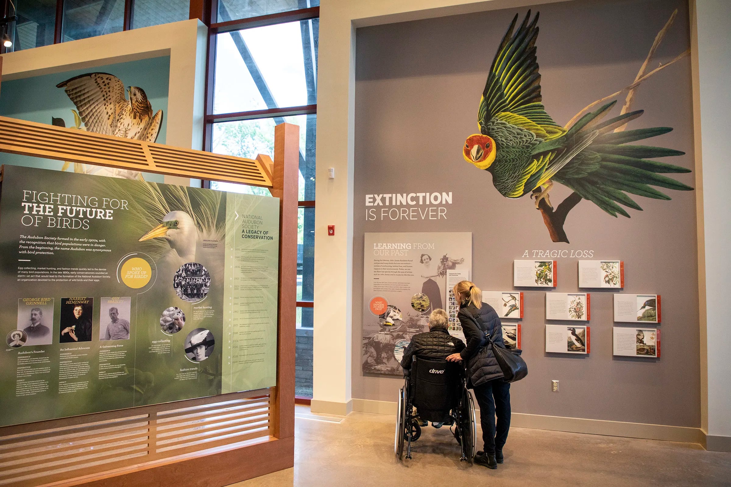 Celebrate Draw a Bird Day by - National Audubon Society