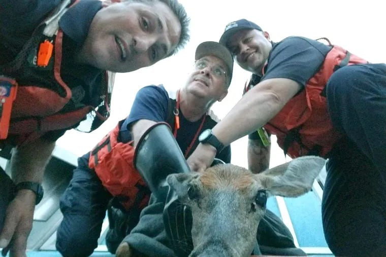 Members of the Philadelphia Police Marine Unit in a selfie with the rescued deer.