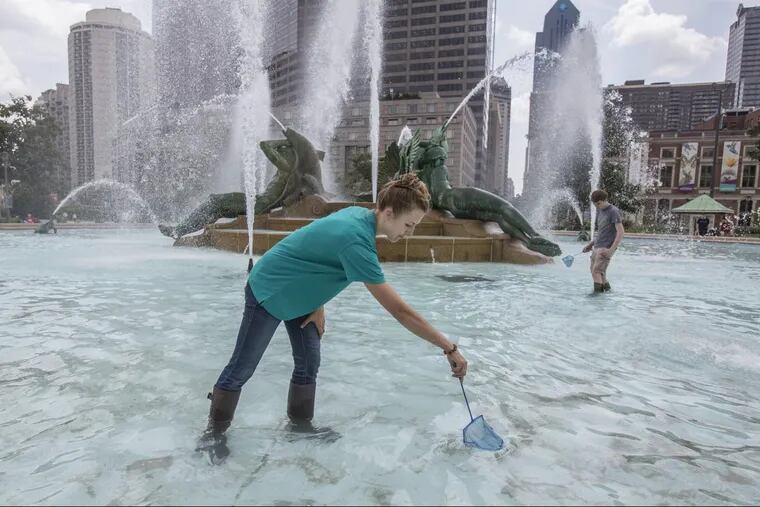 Every Monday, Wednesday, and Friday, Isa Betancourt wades into Swann Fountain on the Parkway, and takes home a handful of insects to sort, catalogue, and pin.