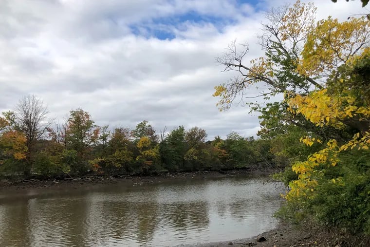 A scene from a two-mile segment of the Cooper River in Pennsauken and Camden that’s being considered for a higher designation of state protection.