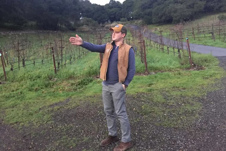 Alex Pomerantz gives a tour of the Syrah and Pinot vines in Kivelstadt&#039;s Sonoma vineyard.