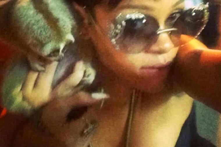 The offending photo of Rihanna with a slow loris in Phuket, Thailand. (Instagram / badgalriri)