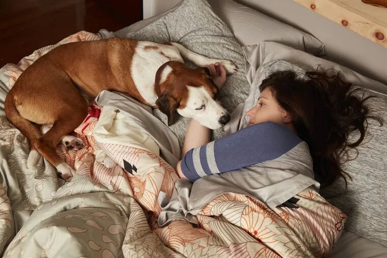 ABC’s “Downward Dog” stars Allison Tolman as Nan, and a rescue dog named Ned as her dog Martin.  (Credit: CRAIG SJODIN/ABC)