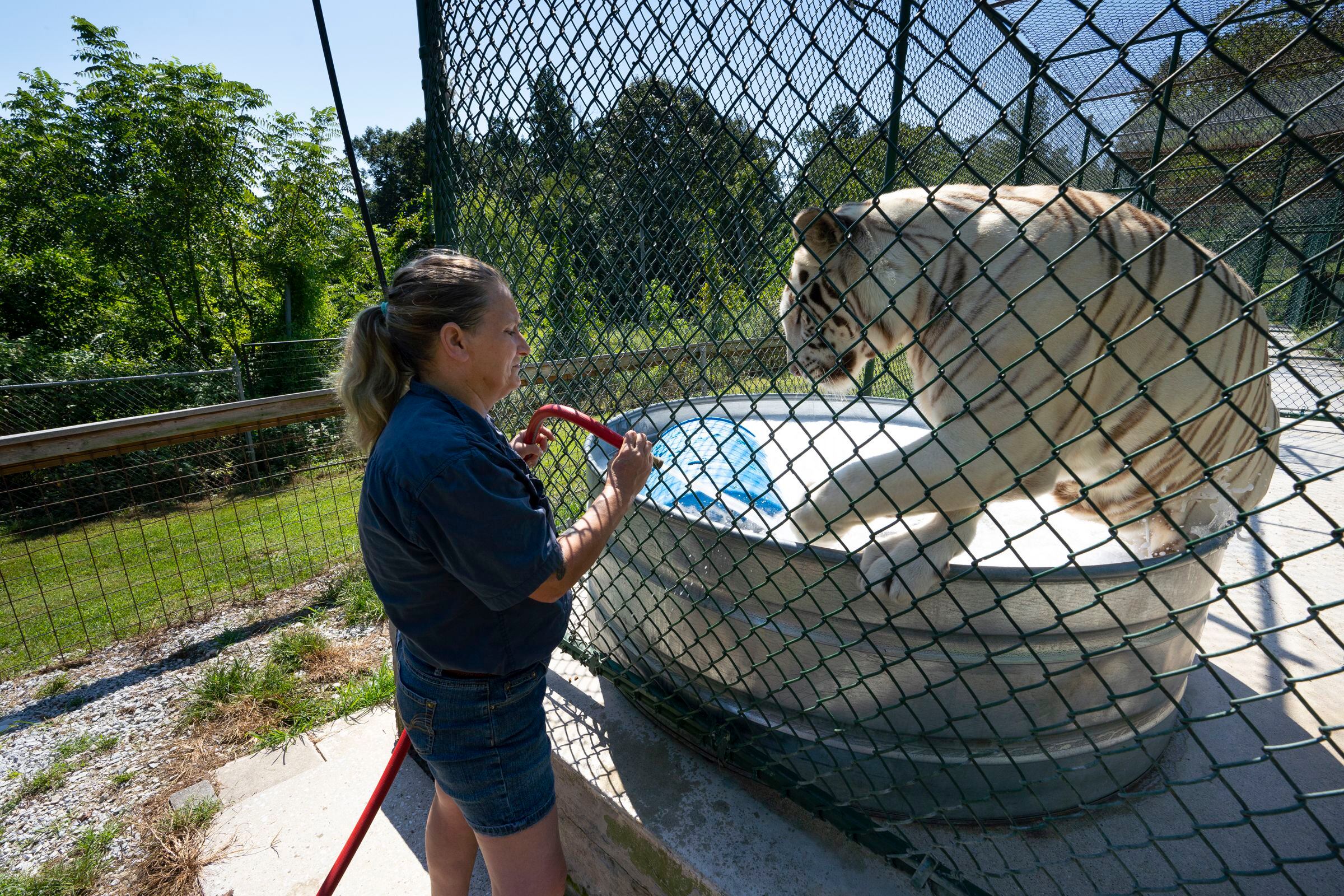 Philly shelter sees increase in exotic animal surrenders