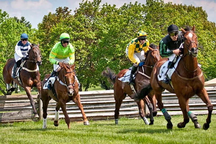 A Winterthur steeplechase, or point-to-point race, where fans can get close enough to see horses' sweat and riders' faces as they gallop by. (Bob Hickok Photography)