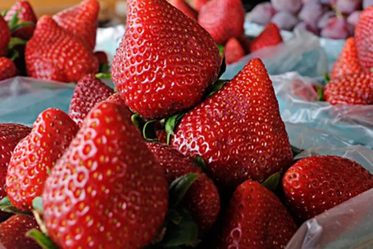 Fresh strawberries are for sale, along with many other produce choices, at Esh&rsquo;s Farm Stand on Route 70 in Southampton. TOM GRALISH / Staff Photographer
