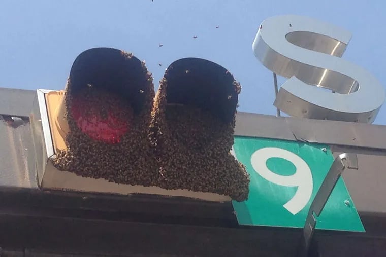 The bees descended on a canopy linking three toll booths, slowing traffic and driving toll collectors from their booths before the Philadelphia Bee Co. took the bees away.