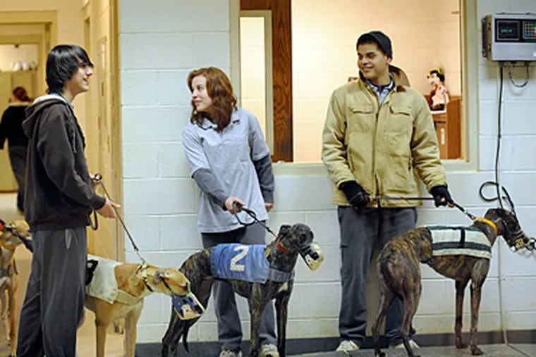 Greyhounds are officially weighed in before the first race of the evening at Dairyland Greyhound Park, which stopped racing in 2009. (AP Photo/Journal Times, Scott Anderson, file)