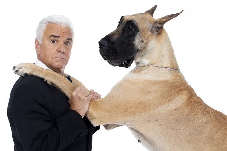 John O'Hurley, host of NBC's "The National Dog Show," with Great Dane
