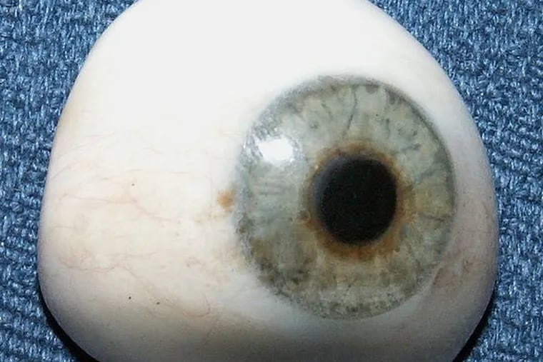An ocular prosthetic, better known as a glass eye. (File photo)