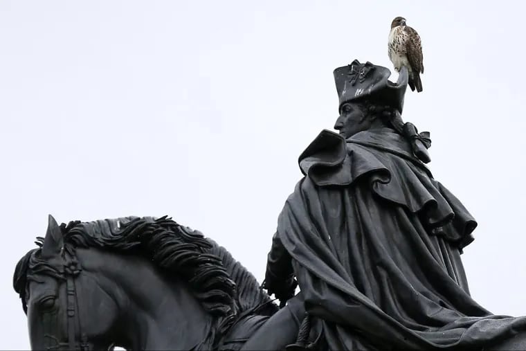 A hawk sits on top of the George Washington statue at Eakins Oval in Philadelphia in January.