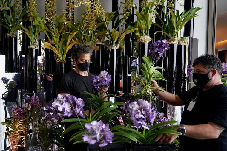 Assistant florist Jeffrey Moore (left) and freelance floral designer Renato Cornacine upate the display with Vanda orchids.