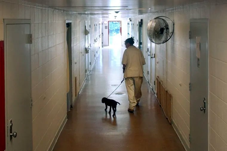 A file photograph from New Jersey's Edna Mahan Correctional Facility for women shows a prisoner walking a puppy down a cell block hallway as part of a program called Puppies Behind Bars.