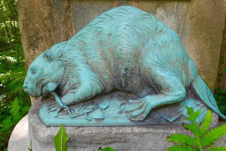 Beaver sculpture in Delaware County marking a fur-trading route that stretched from Lancaster County to the Schuylkill River during the 17th century. The sculpture and accompanying plaque were stolen, the Pennsylvania State Police said.