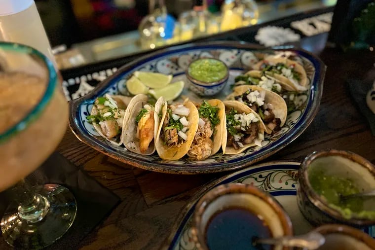 Celebrate Cinco de Mayo with both margaritas and cultural activities, like tacos and Mexican street food at Cantina La Martina in Kensington.