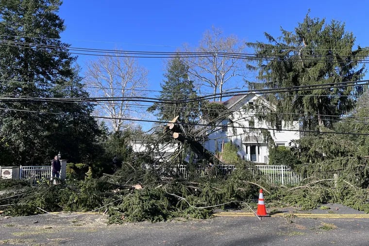 Kristin Parry in front of two large pine trees that came down in front of her home April 1, 2023 on Riverton Road in Cinnaminson, Burlington County, N.J. The National Weather Service is investigating a possible tornado that struck the town and neighboring Delran.