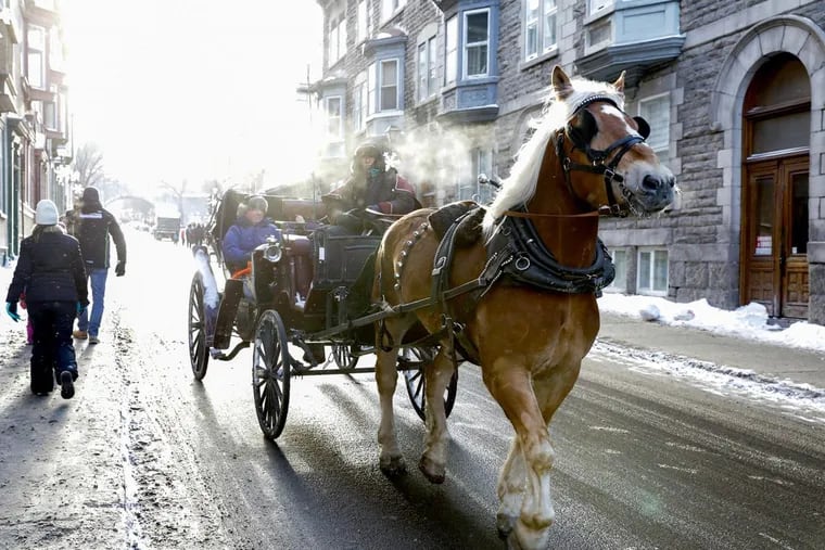 Carriage rides seem a perfect fit for the walled city of Quebec.