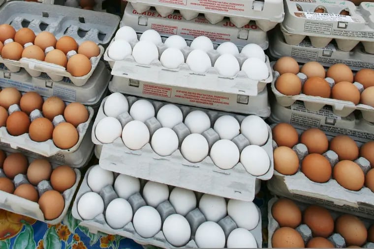 FILE - In this May 14, 2008, file photo, cartons of eggs are displayed for sale in the Union Square green market in New York.