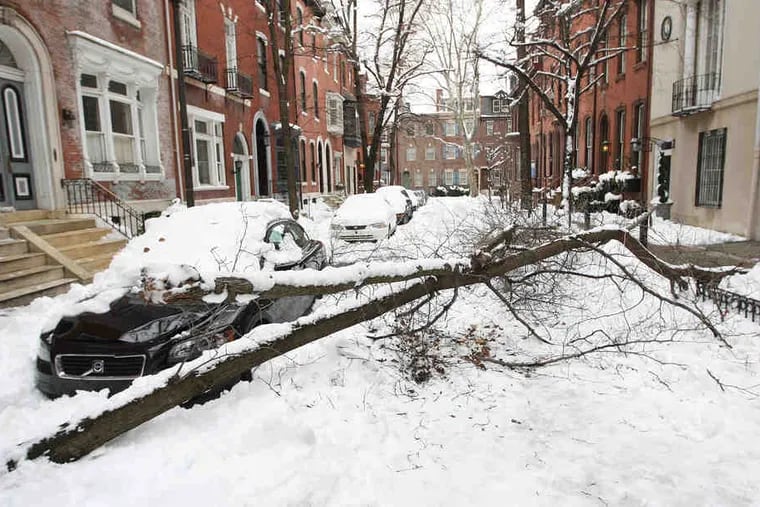 A tree limb broken off in the storm dented a car on the 2000 block of Delancey Street. On Friday, it had still not been removed.