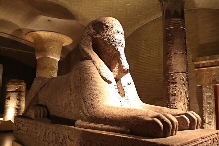 Sphinx of Ramses II Circa 1200 BCE, seen here in its decades-long home in the Penn Museum Egyptian Galleries, will be moving to the museum's main lobby.