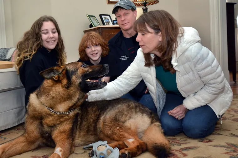 Nicole and Richard Galanti ,R, with their children Julianna ,20, and Cole ,10, with their happy dog SEPTA K-9 Officer Abal at their home in Wenonah N.J. on Monday April 16. .