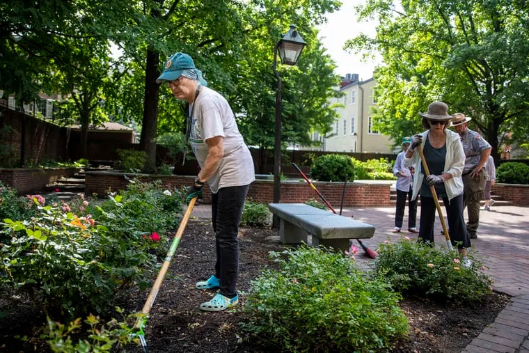 Volunteer Joan Wells (left) pulls out weeds in the Rose Garden, which is wedged between Fourth and Fifth Streets, bordered by Locust and Walnut.
