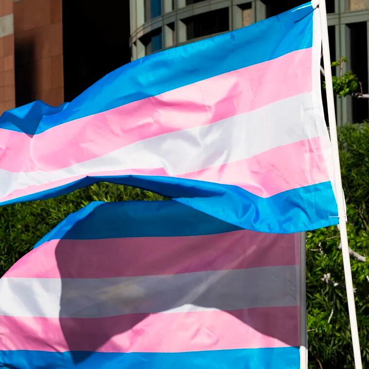 Trans pride flags flutter in the wind at a gathering to celebrate International Transgender Day of Visibility, March 31, 2017, at the Edward R. Roybal Federal Building in Los Angeles.
