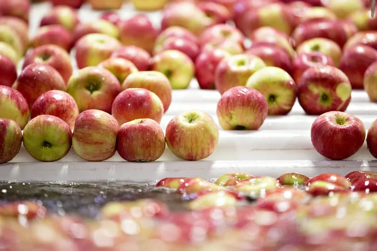 Honeycrisp apples moves through a wash machine at the Jack Brown Produce packing facility in Sparta, Mich.