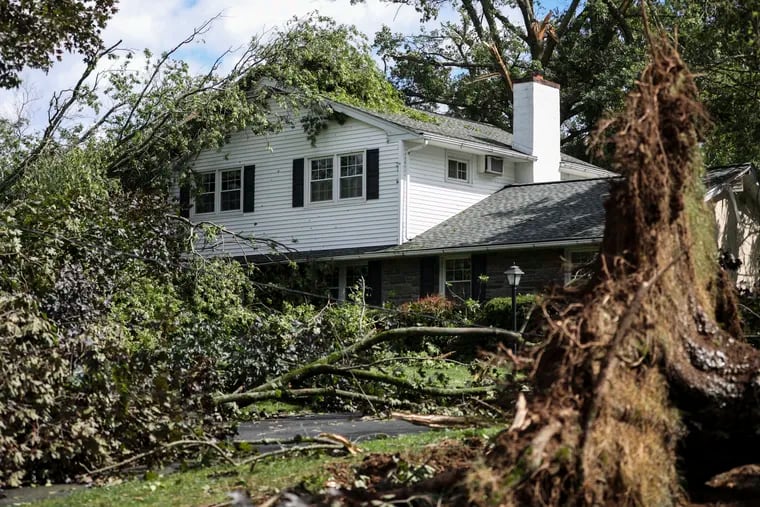 Trees fell on a home on Shady Grove Circle in Doylestown on Tuesday. Hurricane Isaias caused significant damage in the suburbs surrounding the city, and officials spent most of Wednesday morning assessing its full extent.