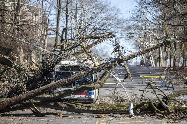 A SEPTA bus is covered by a tree that slammed into its roof on Friday.