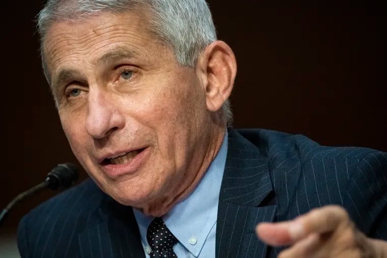 Director of the National Institute of Allergy and Infectious Diseases Anthony Fauci speaks during a Senate Health, Education, Labor and Pensions Committee hearing on Capitol Hill in June.