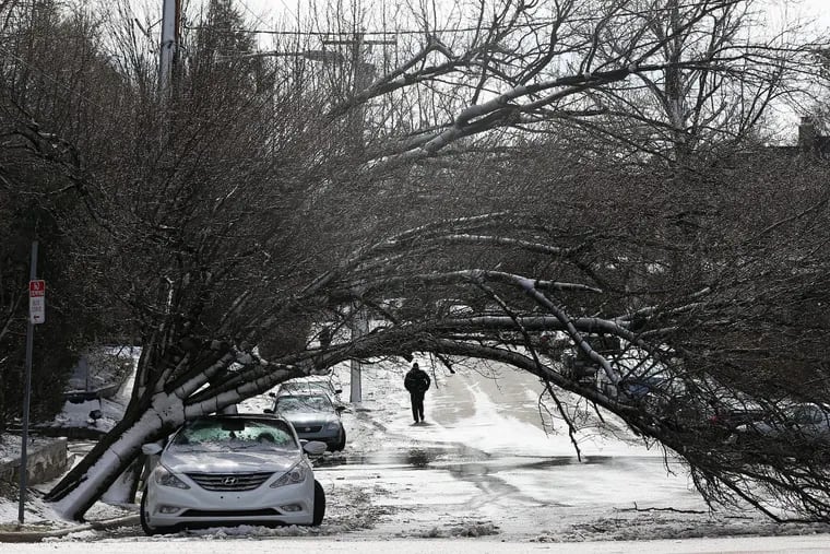 A man walks past a tree that fell onto a car across from the Overbrook train station on Saturday, March 3, 2018.