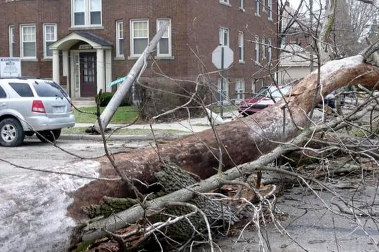 A fallen tree obstructs a Detroit street. High winds knocked down power lines across the Midwest, leaving thousands without power as heavy rain and melting snow swelled rivers.