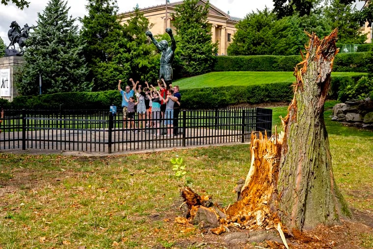The trunk and branches from a tree downed overnight are already cleaned up as the morning tourists arrive at the Rocky statue near the Philadelphia Museum of Art Tuesday, Aug. 8, 2023. Severe thunderstorms passed through the Philly region Monday night, leaving a path of downed power lines and trees in its wake. Thousands remained without power Tuesday and damage from the storms was impacting Amtrak and SEPTA.