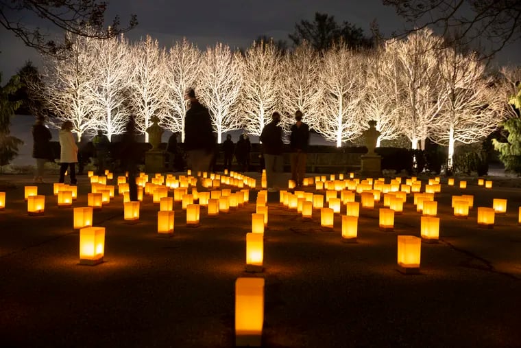 Longwood Gardens featured thousands of glowing luminaria lining Paulownia Allée and the East Conservatory Plaza. The display, titled  "Hope and Remembrance," invited visitors to walk among the luminaria and reflect amid the quiet winter landscape in tribute to a life affected by the global pandemic or as a symbol of hope.