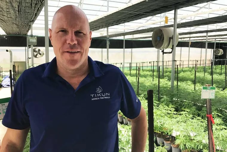 Stephen Gardner, chief marketing officer for the Israeli-based Tikun Olam,  at the company’s grow facility in Safed. Gardner spoke about the company's partnership with Pennsylvania marijuana grower and dispensary operator Ilera Healthcare.
