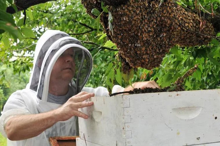 &quot;It's a hobby, but at least you break even,&quot; says Pennsylvania State Beekeepers Association's Steve Finke of renting a hive seasonally.