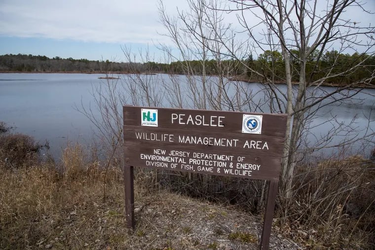 The Peaslee Wildlife Management Area on N.J. State Route 49 in Cumberland County.