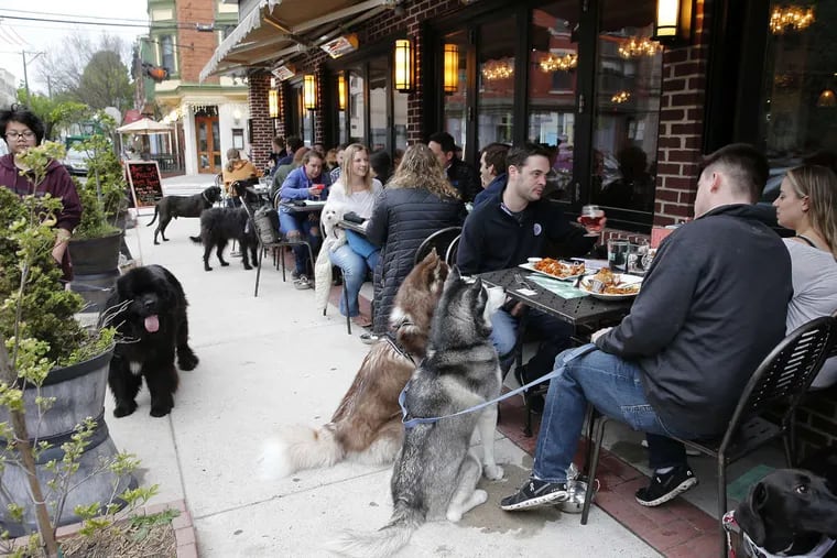 Dogs and their owners during Yappy Hour, a dog themed happy hour outside the Bainbridge Street Barrel House.