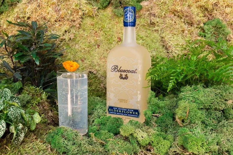 A gin and tonic with a bottle of Bluecoat Elderflower Gin.