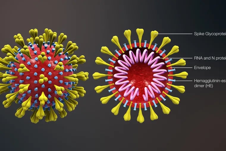 A depiction of the Wuhan coronavirus.