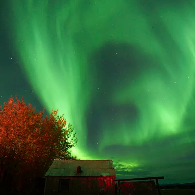 Northern lights animate the night sky in September 2022 in Bettles, Alaska. Auroras may be seen much farther south this weekend.