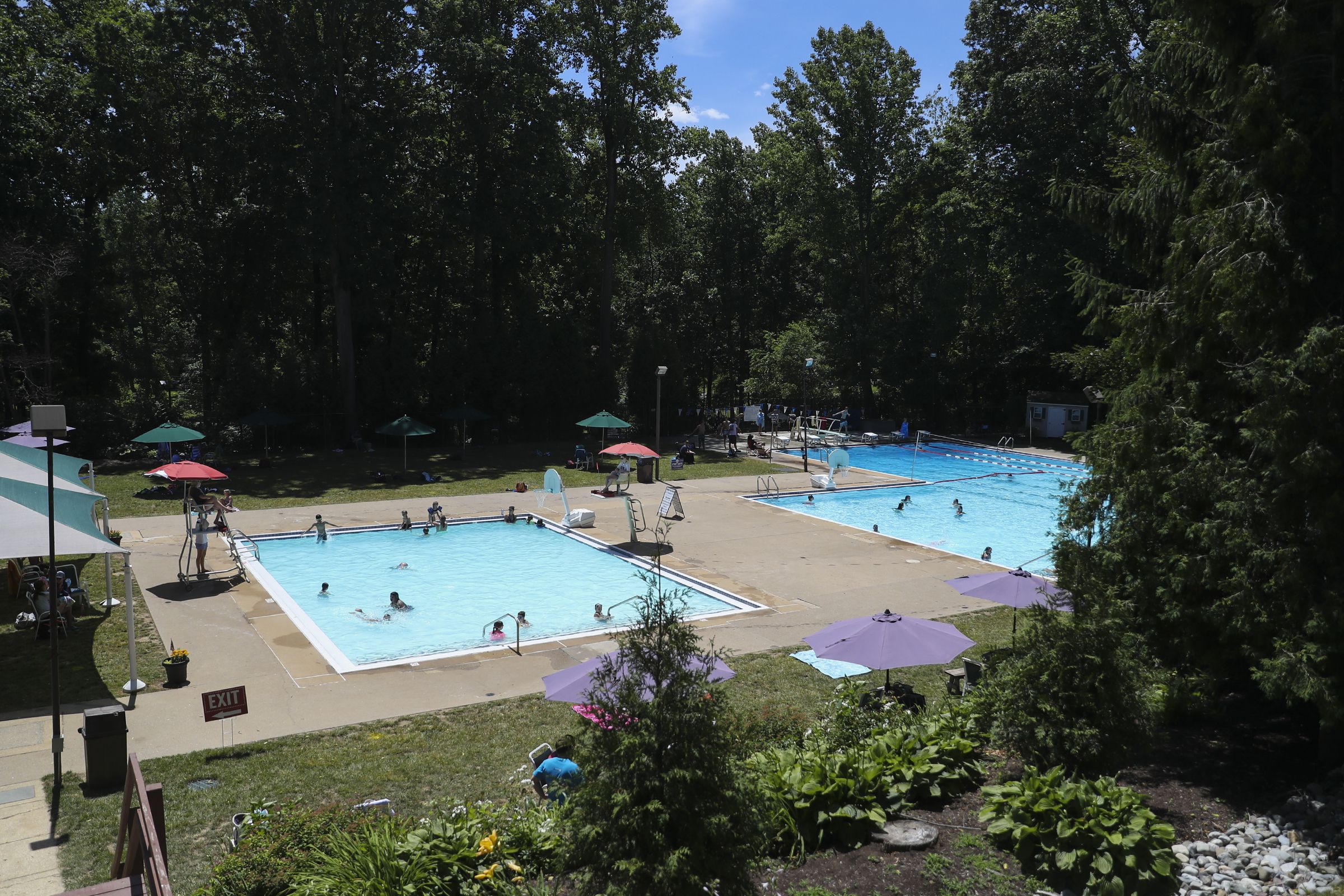 Descubrir 74+ imagen haworth swim club Abzlocal.mx