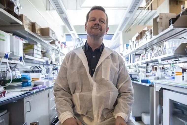Stefan Kappe, sitting in a research bay at Seattle BioMed, is project leader in the effort to develop a malaria vaccine. "I'm optimistic. ... this is the most promising way to make a malaria vaccine." (Steve Ringman/The Seattle Times/TNS)