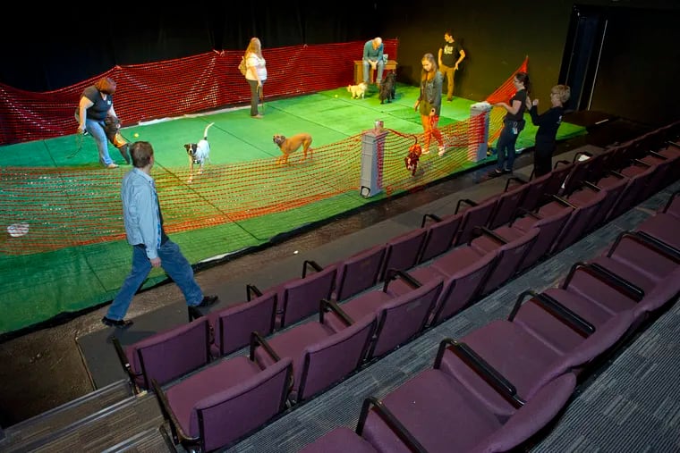 The Proscenium Theatre stage is transformed into a fenced off dog park as part of InterAct Theatre's event "Dramatic Paws: A Day of Dogs Onstage," where they invite their fans and friends, and their canine pals to have the run of the Center City Philadelphia venue on Saturday, June 23, 2018.